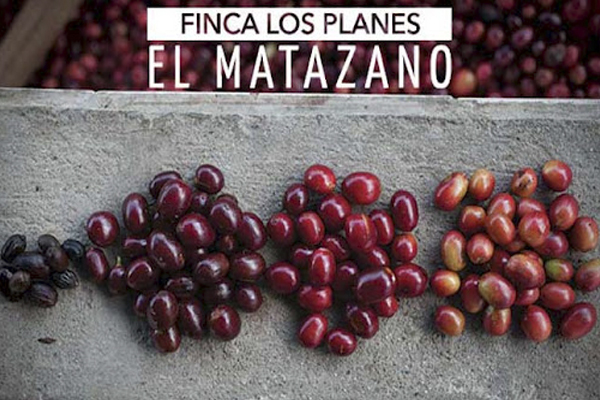 Кофе Los Planes